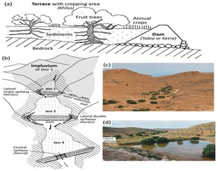 Figure 3: Diagram of a typical Jessour system